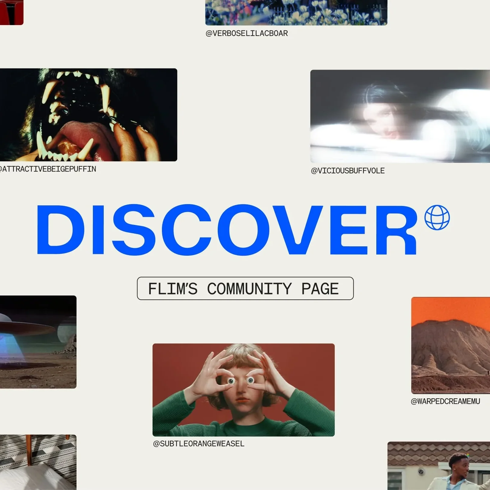 Introducing Discover: browse Flim's public boards