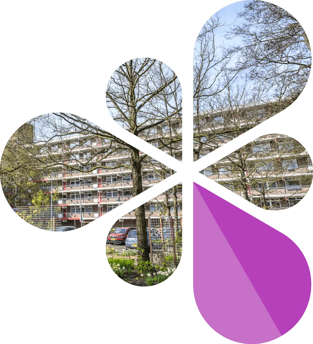 Leaf-shaped segments showing a residential building behind leafless trees and a purple stylized leaf segment.
