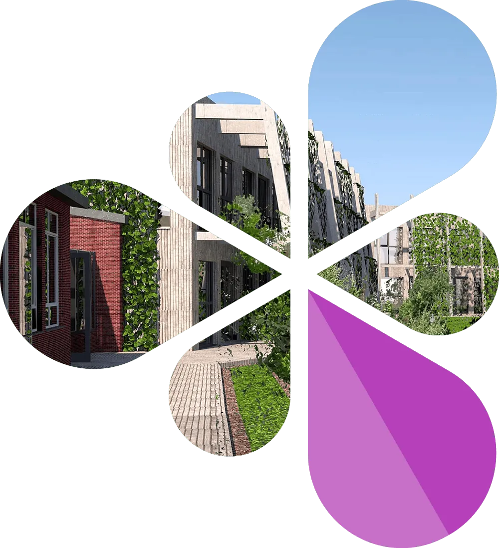 Modern building courtyard with greenery-covered walls, paved pathways, and clear blue sky, shown in a petal-shaped collage.