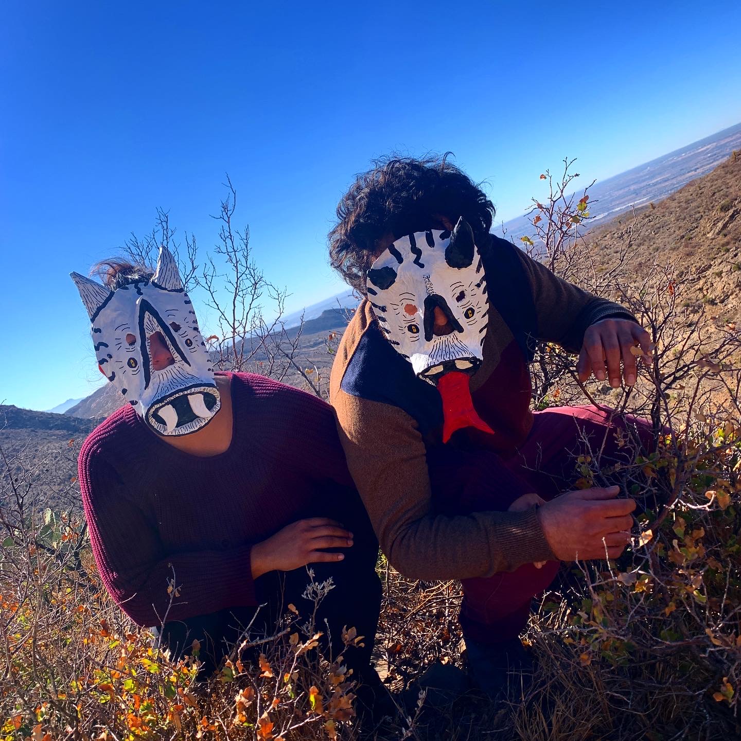 Visual Artist - Xingaderas