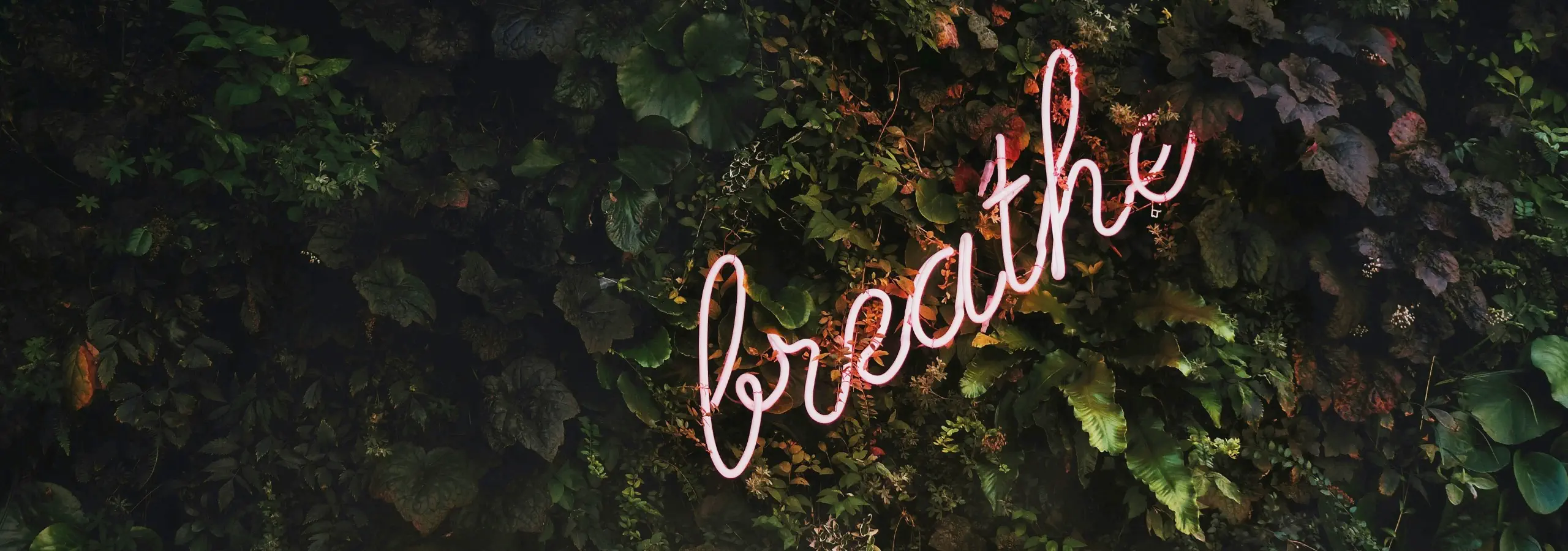 the word breathe in pink neon script on a background of foliage
