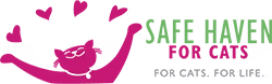 Safe Haven for Cats