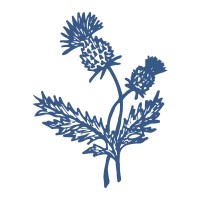 Mill Prong Preservation