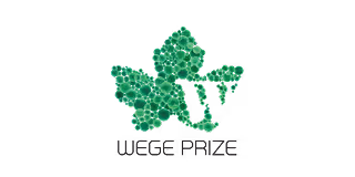 Green star shape made of connected hexagonal cells above the text WeGE Prize in black.