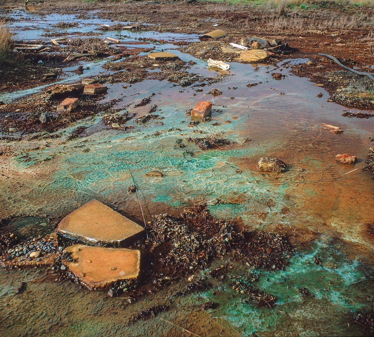 Polluted waterlogged soil with scattered bricks and debris, showing greenish and brown discoloration.