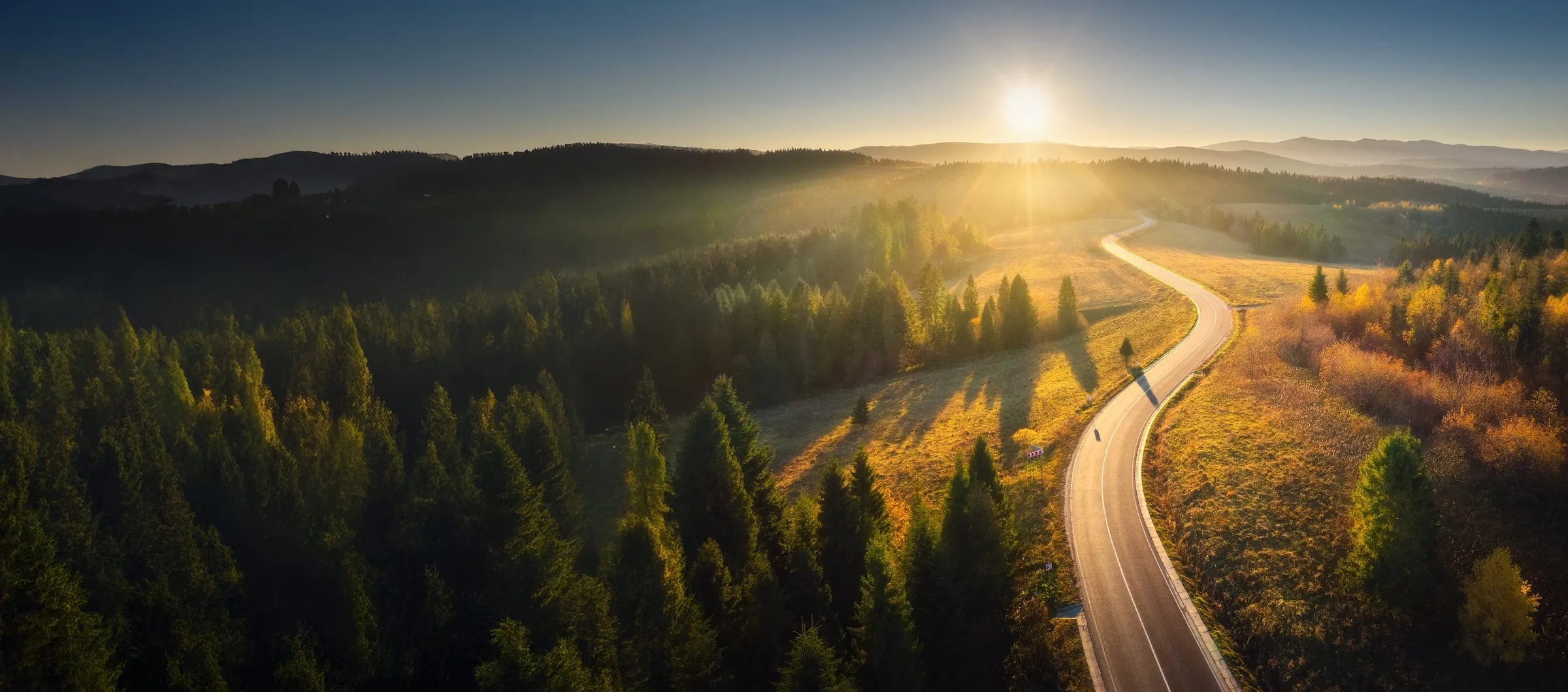Curved road winding through a forested landscape at sunrise with sun rays casting long shadows.
