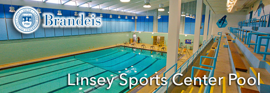 Brandeis University pool renovation scaffolding