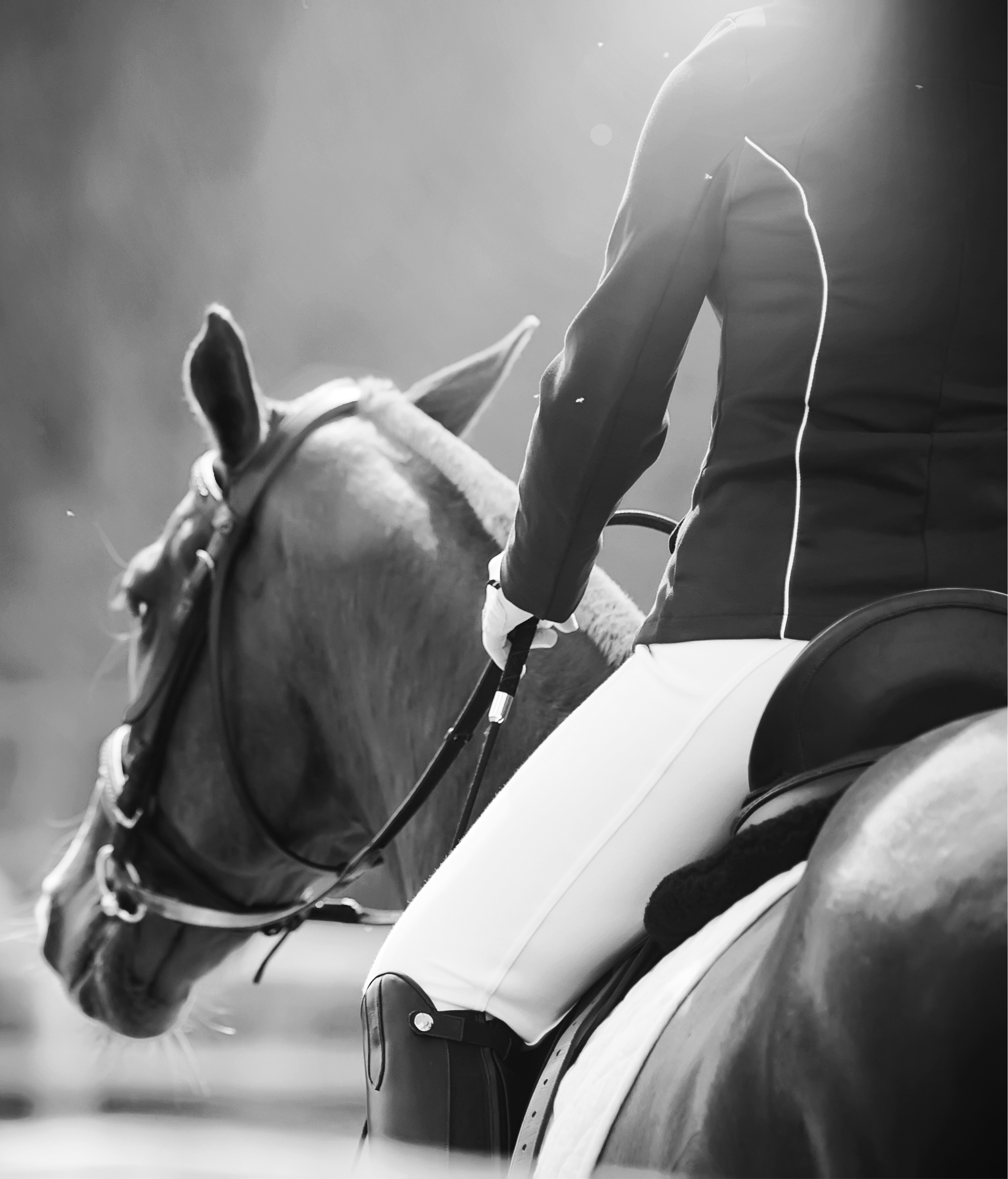 Close-up black and white photo of a rider in equestrian attire holding reins while sitting on a horse.