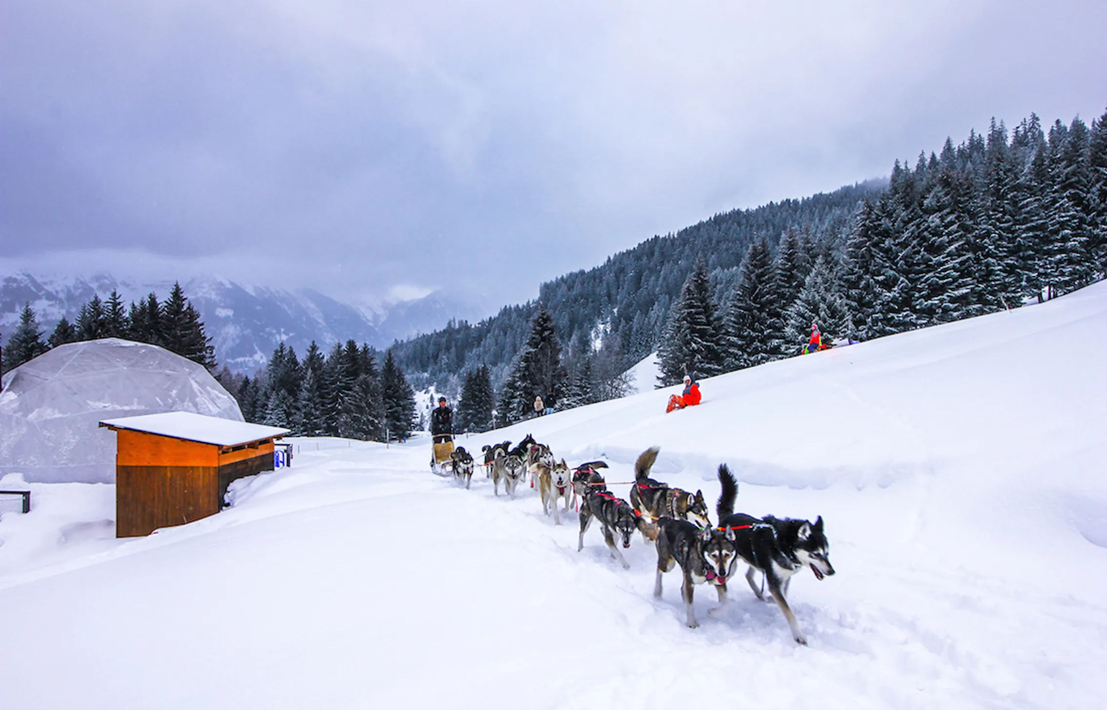 Attelage de chiens de traîneau passant devant un pod enneigé – Milk Magazine raconte Whitepod en Suisse