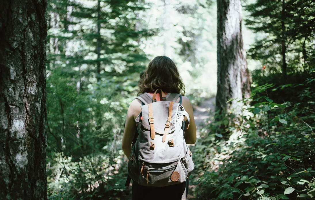 Personne de dos avec un sac à dos gris marchant sur un sentier en forêt entourée d'arbres et de végétation dense.