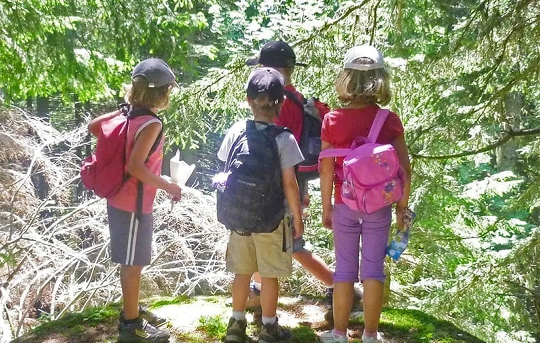 Quatre enfants avec des sacs à dos marchant dans une forêt verte ensoleillée, vus de dos.