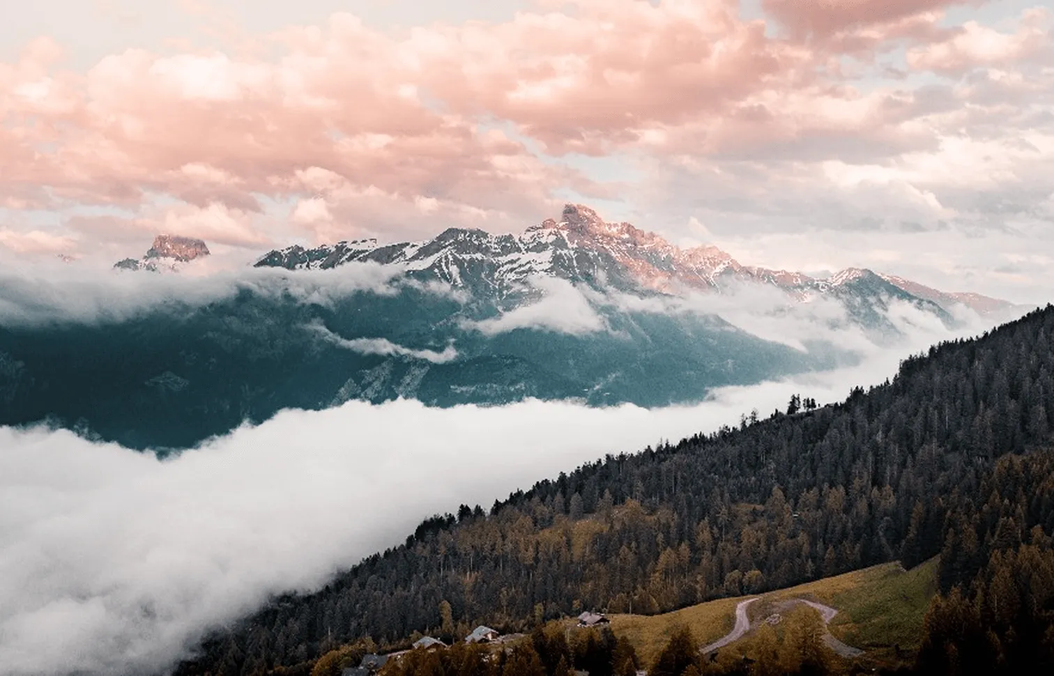 Chaîne de montagnes avec des sommets enneigés partiellement recouverts de nuages et de brouillard, une forêt dense au premier plan et un ciel aux teintes roses au coucher du soleil.