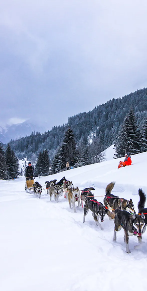 Une équipe de chiens de traîneau tirant un traîneau avec une personne à bord sur un chemin enneigé entouré de sapins et de montagnes couvertes de neige sous un ciel nuageux, avec une autre personne assise dans la neige en tenue rouge.
