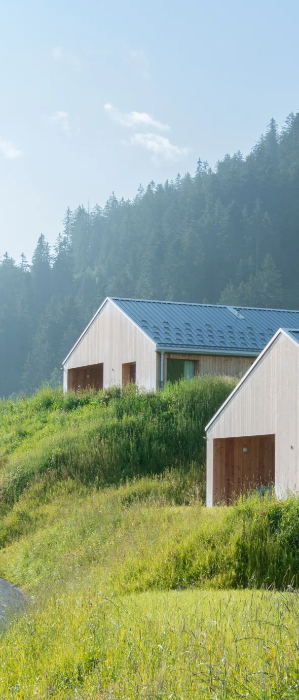 Deux chalets modernes en bois clair sur une colline verdoyante, avec une grande forêt dense en arrière-plan sous un ciel bleu clair.