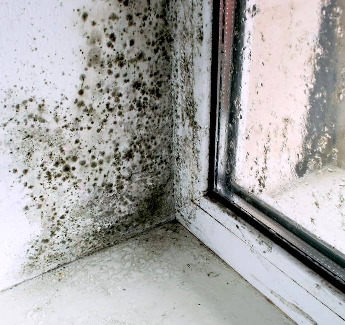 Black mold growing on a white window corner and windowsill inside a house with condensation on the window glass.