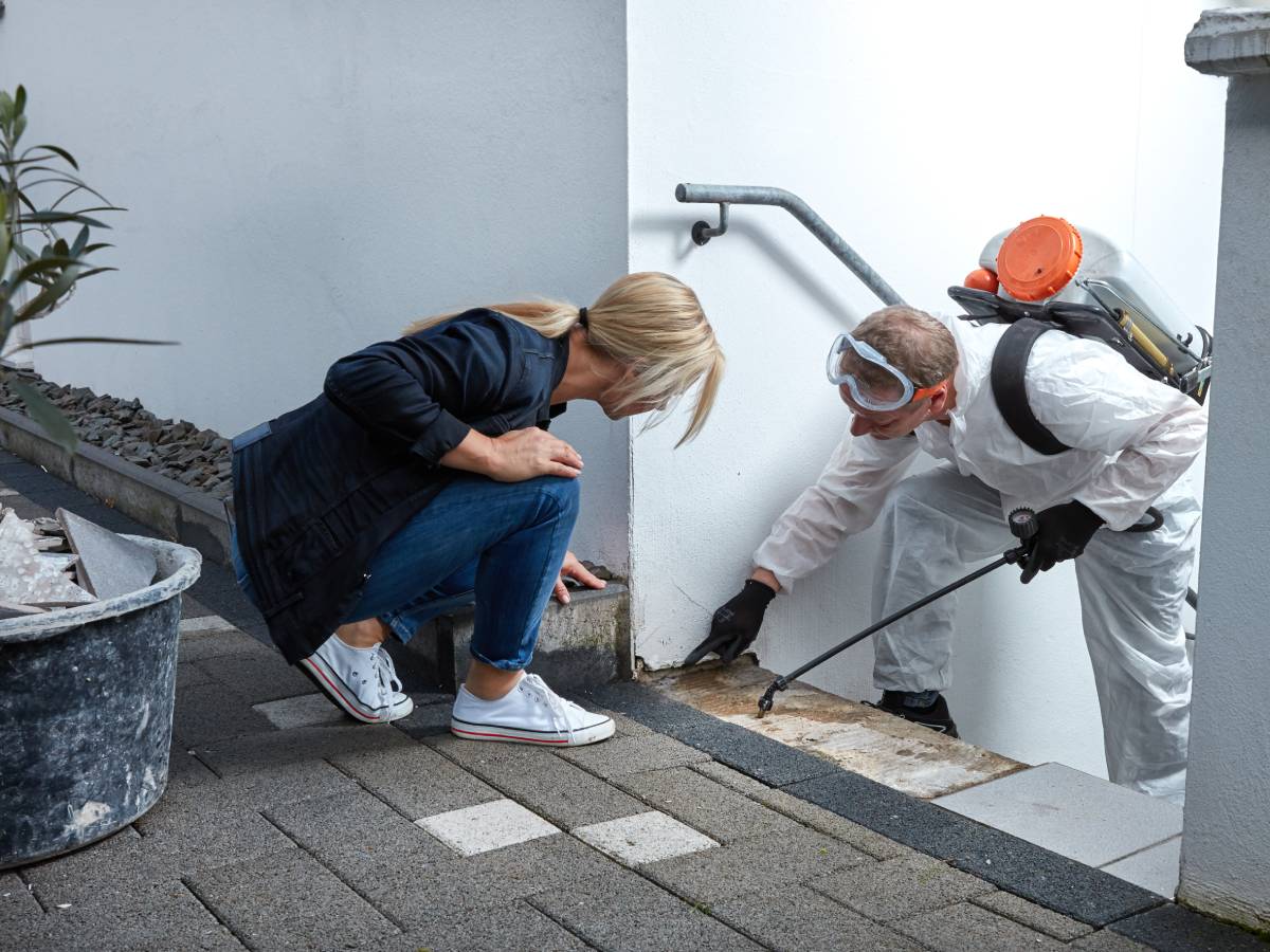 Technician in protective gear inspecting and spraying mold at the base of a wall while a woman crouches nearby observing.