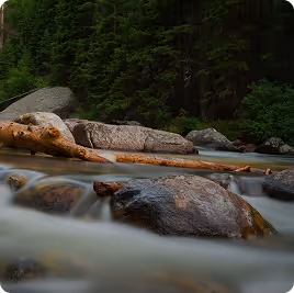 A quiet, introspective image of a creek illustrating the rest and recharge found at Wildfire International's retreat base in Kyburz, CA.