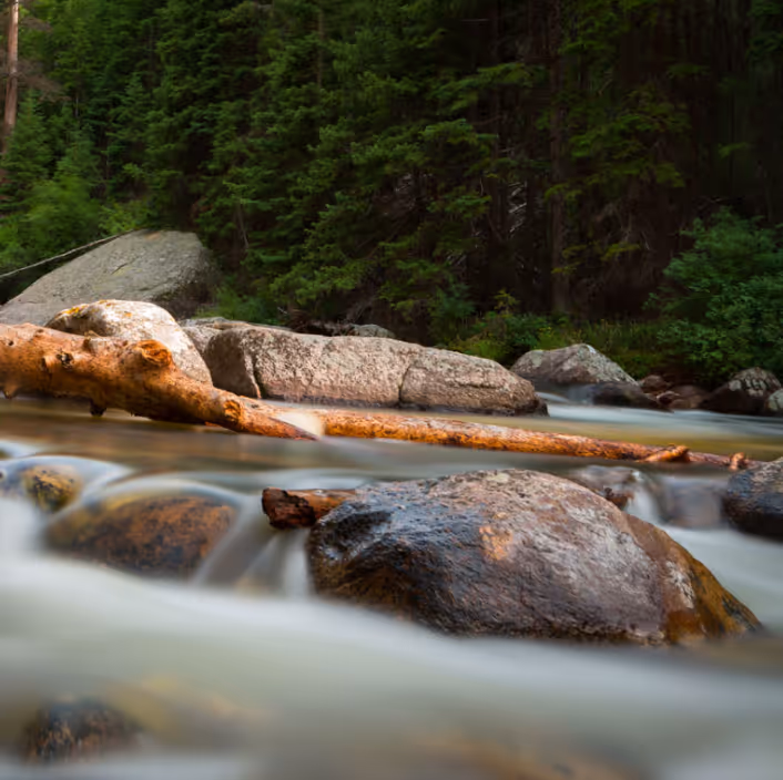 Summits and retreats in Kyburz, CA offer wildfland fire practitioners a free, dedicated space for selected natural resource, disaster response, and land management professionals to rest, create, and plan their next steps.