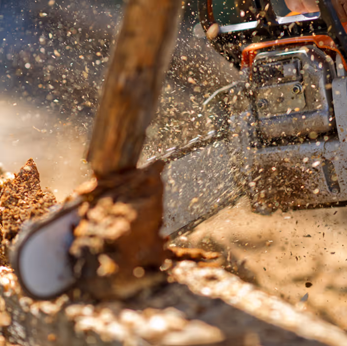 Wildland fire practitioner using a chainsaw on the frontlines to control fire—illustrating Wildfire International’s core training and certification program.