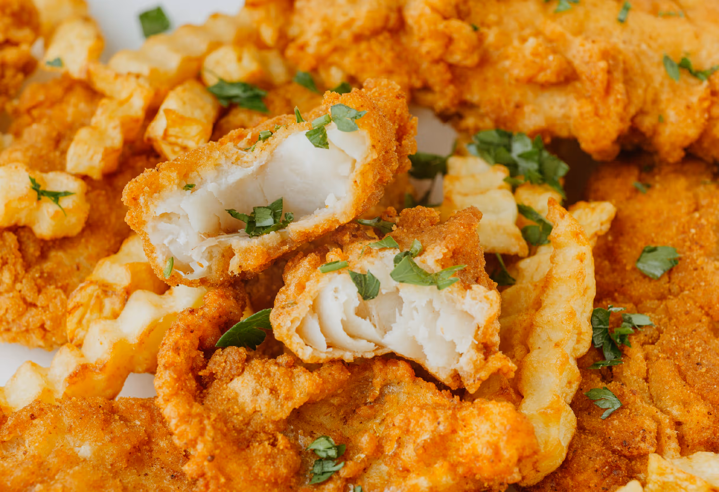 image of musician at music festival