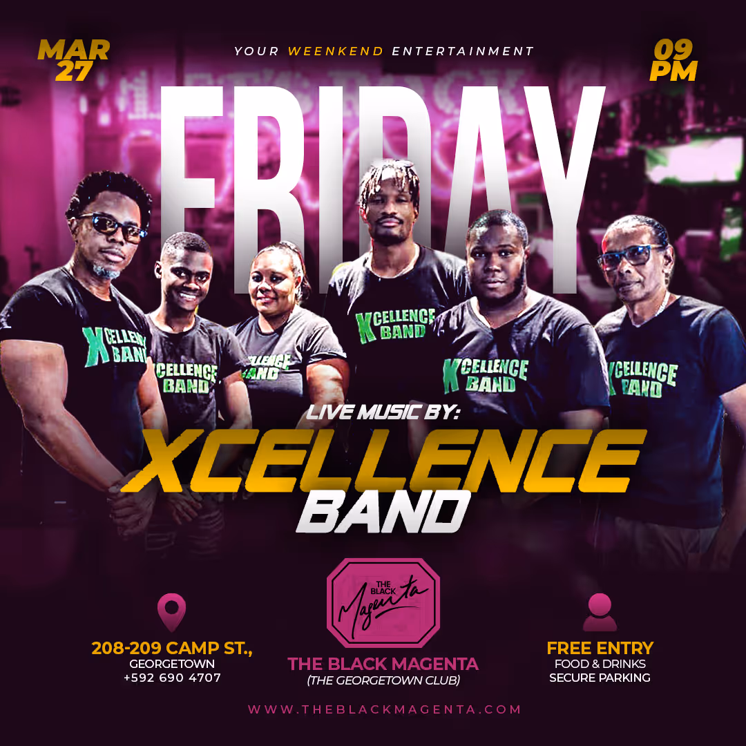 music festival performance