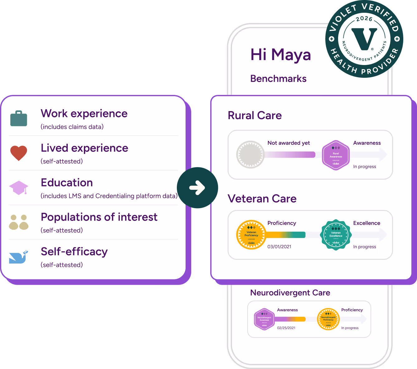 User interface showing categories of experience including work, lived, education, populations of interest, and self-efficacy on the left. On the right, benchmarks for Rural Care, Veteran Care, and Neurodivergent Care display progress levels such as awareness, proficiency, and excellence with corresponding badges and progress bars.