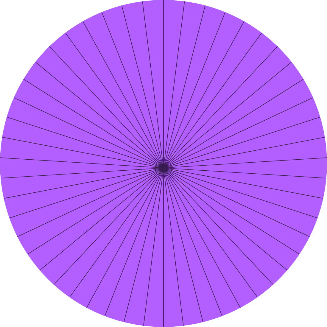 Purple circle divided into 48 equal radial segments by thin black lines.