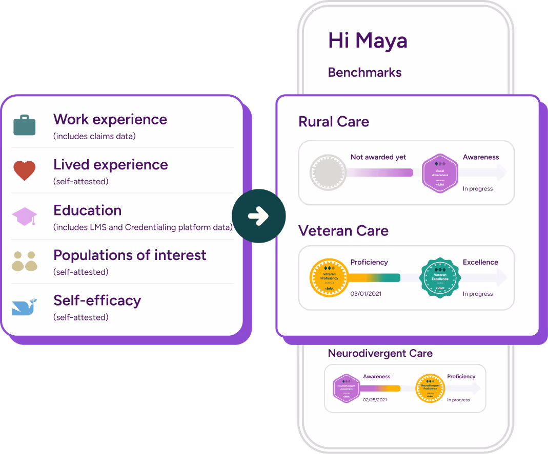 User interface showing categories of experience on the left and a mobile screen on the right with benchmarks for Rural Care, Veteran Care, and Neurodivergent Care including progress badges and status indicators.