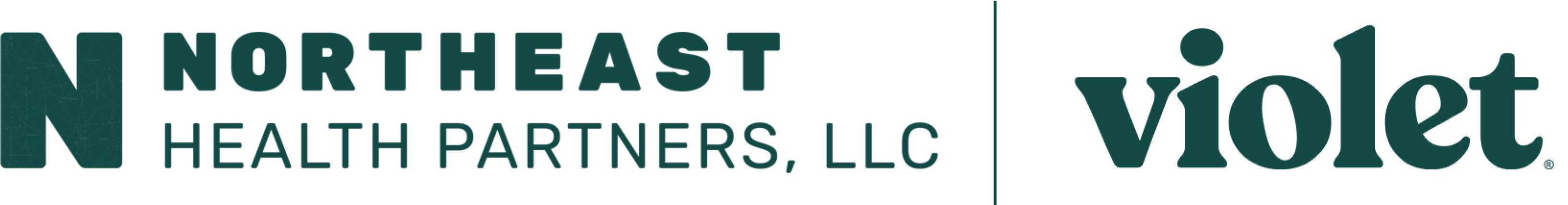 Logo reading Northeast Health Partners, LLC with a large N, separated by a vertical line from the word violet.
