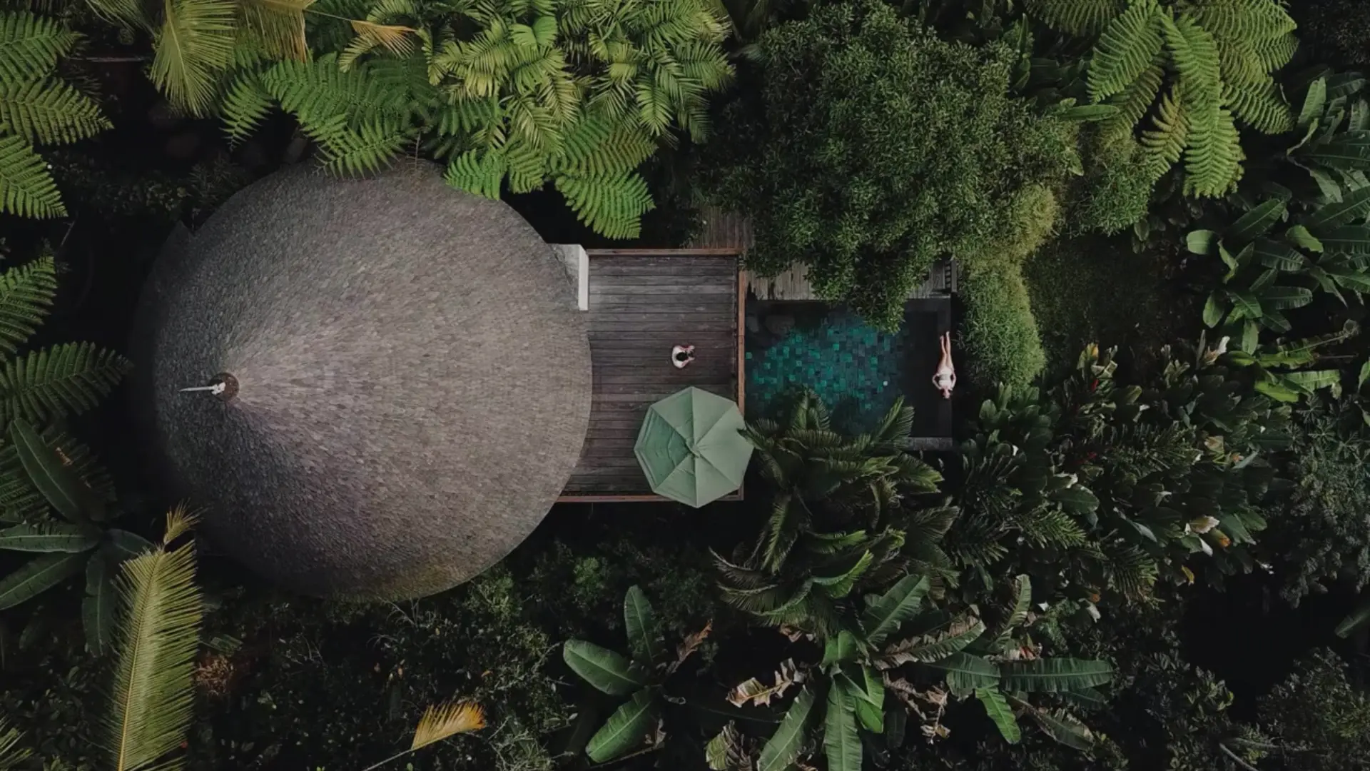 Vintage home in the middle of tropical forest