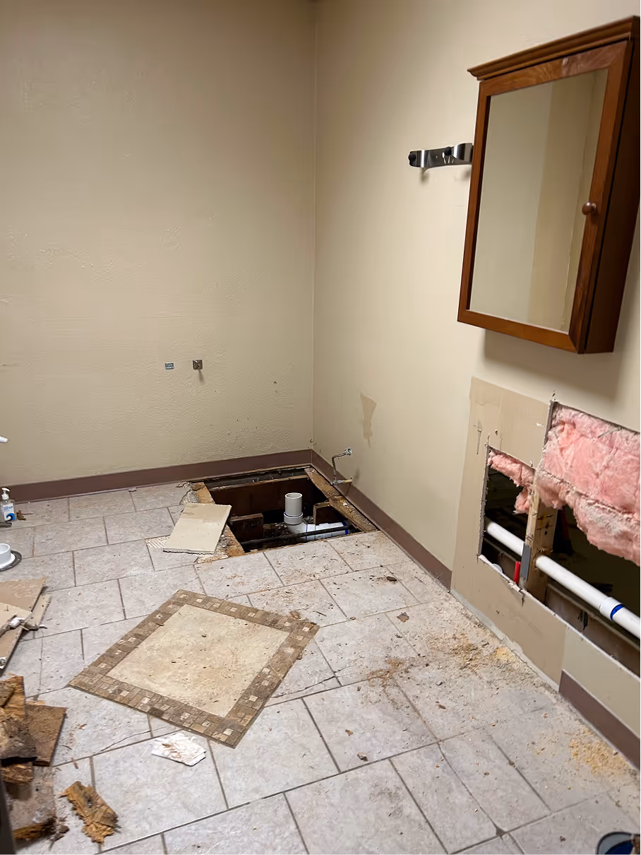 Bathroom renovation in progress with exposed plumbing, removed flooring sections, and wall openings.