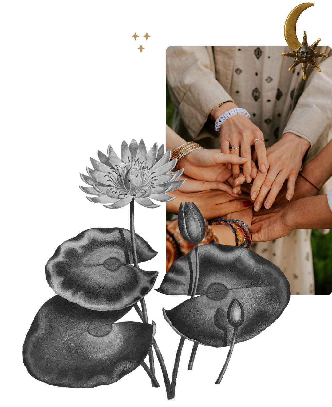 Group of diverse hands stacked together, surrounded by black and white lotus flower illustrations and gold celestial decorations.