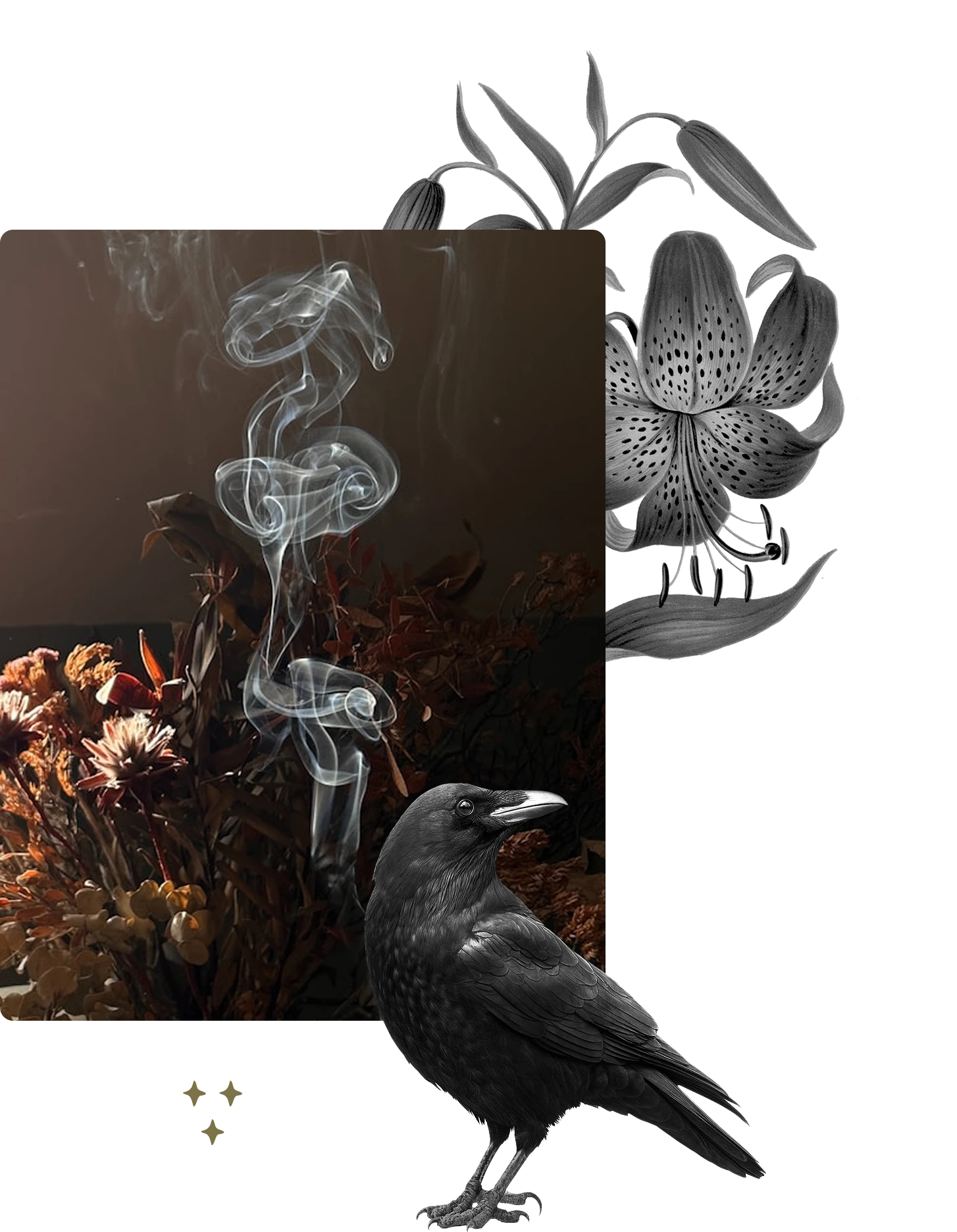 Black raven perched in front of a dark background with dried flowers and swirling smoke, accompanied by grayscale floral illustrations.