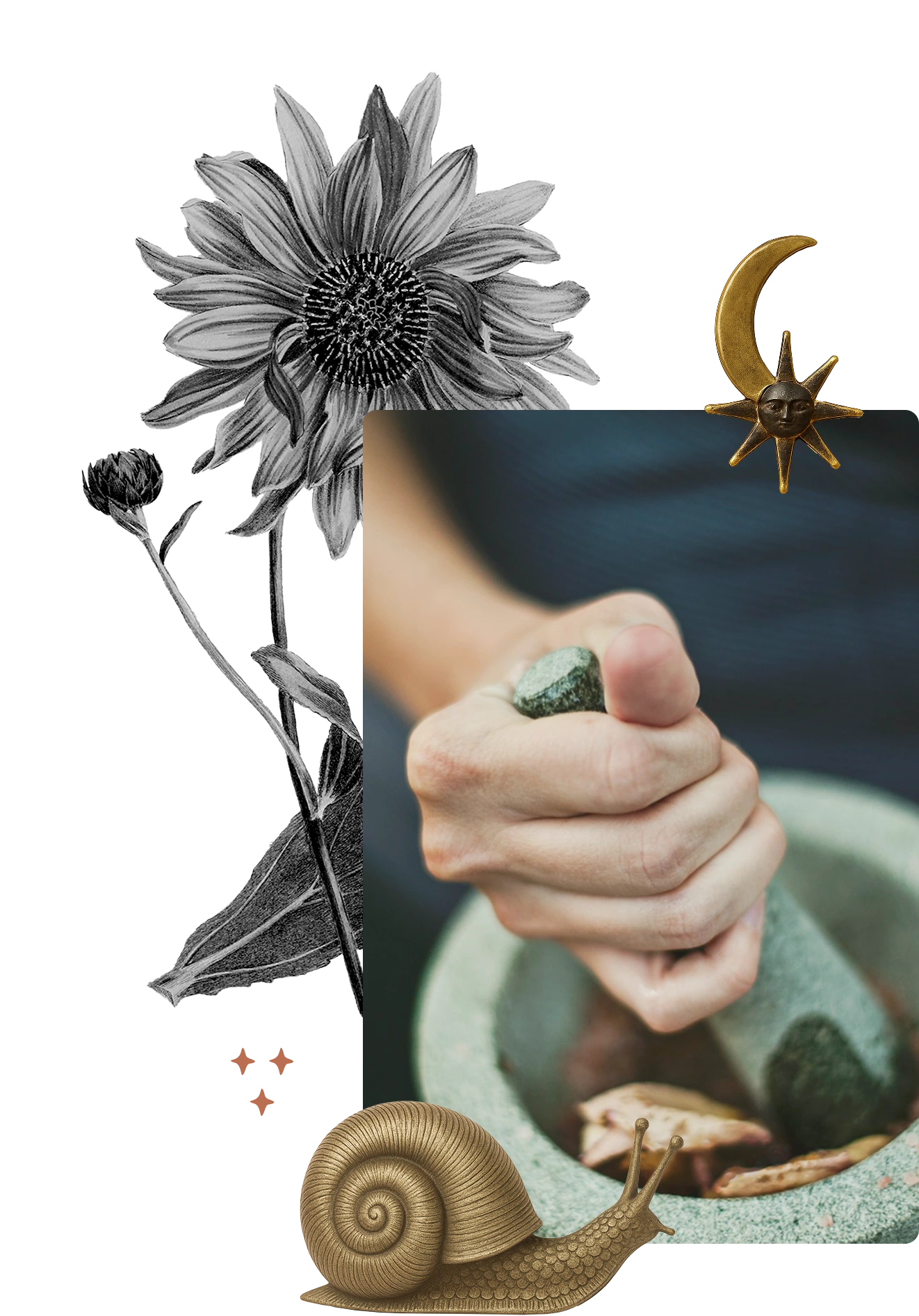 Hand using a stone pestle to grind herbs in a mortar, with artistic sunflower, moon and sun, and snail illustrations around.