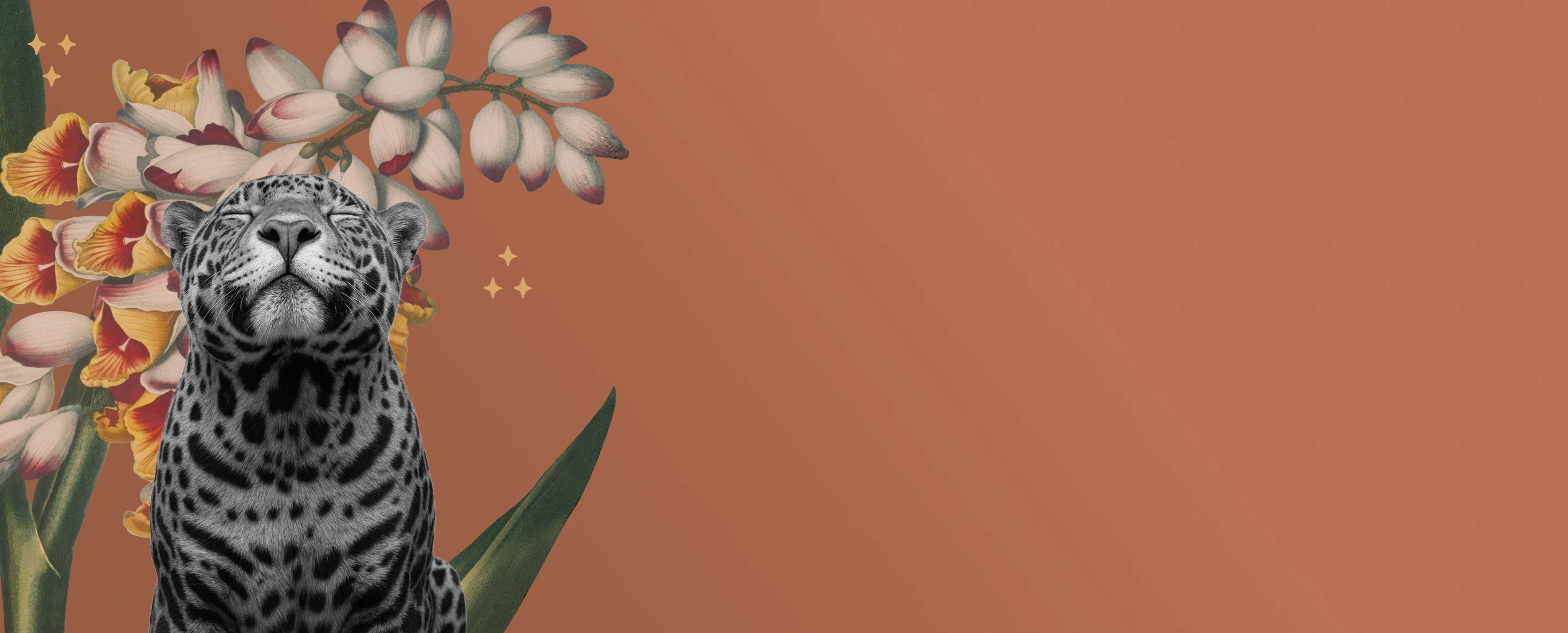 Black and white leopard sitting peacefully beside colorful tropical flowers on a brown background.