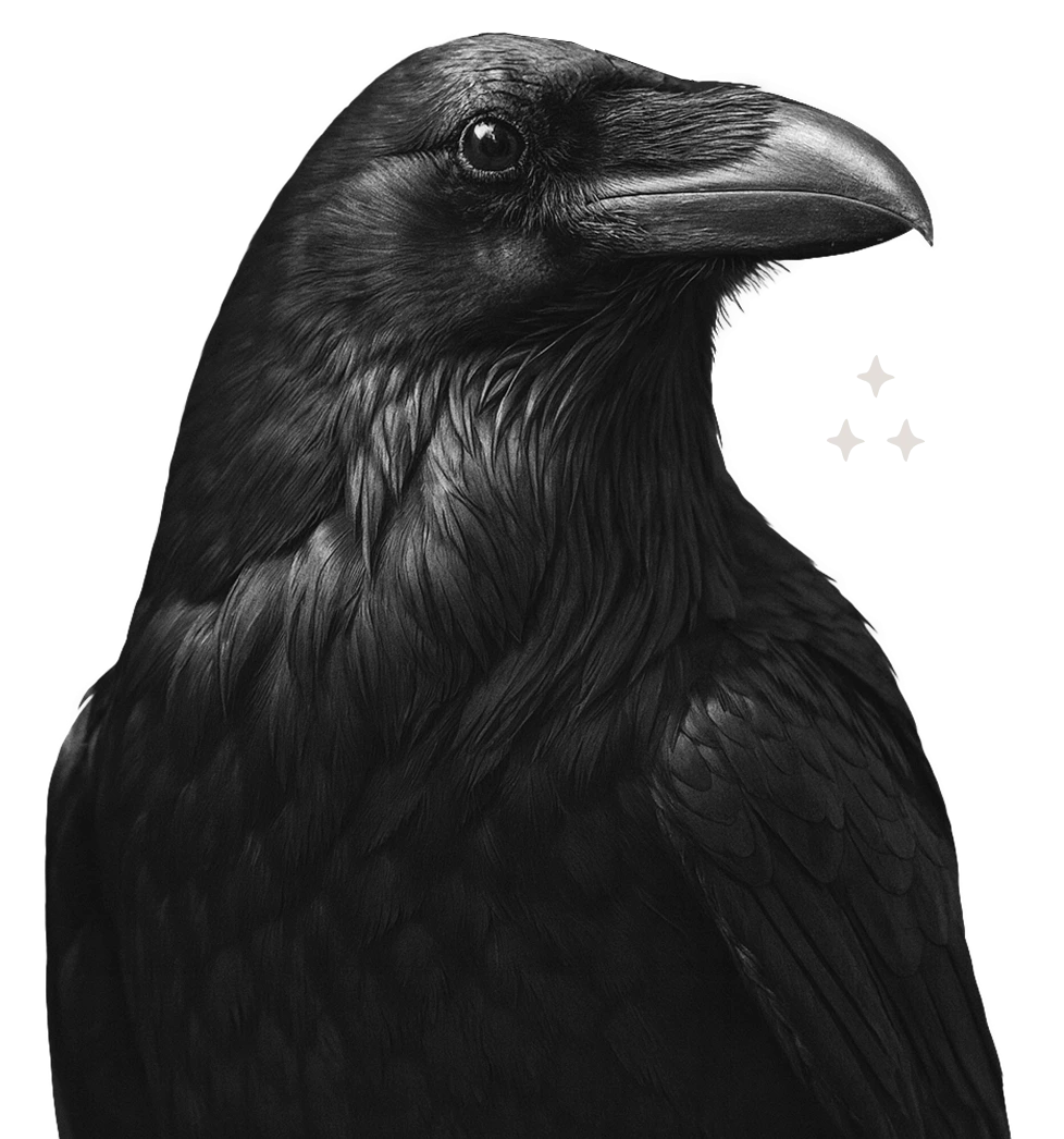 Close-up profile of a black raven with detailed feathers and a sharp beak on a black background.