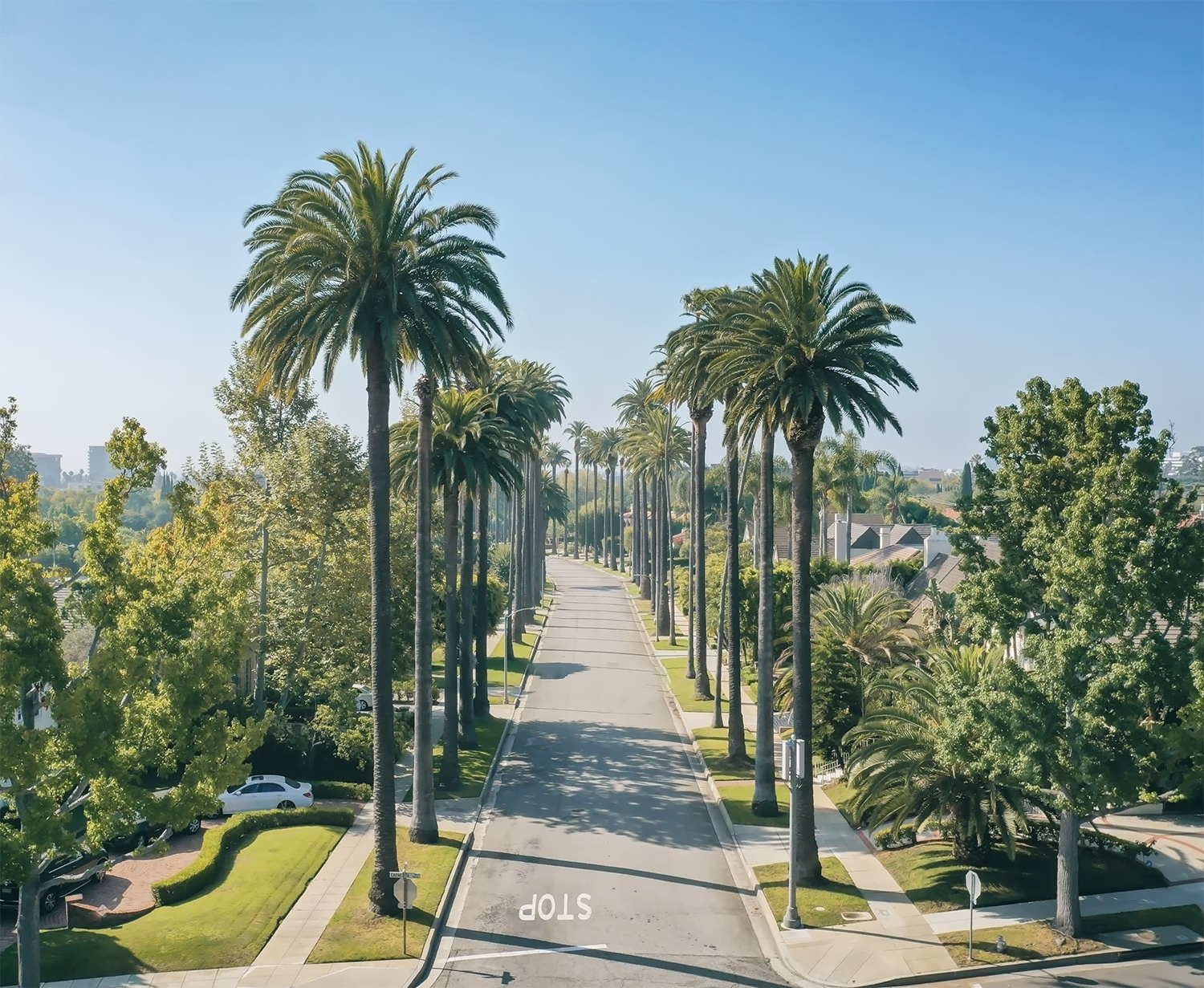 Palm tree-lined street with sidewalks, green lawns, and a clear blue sky.