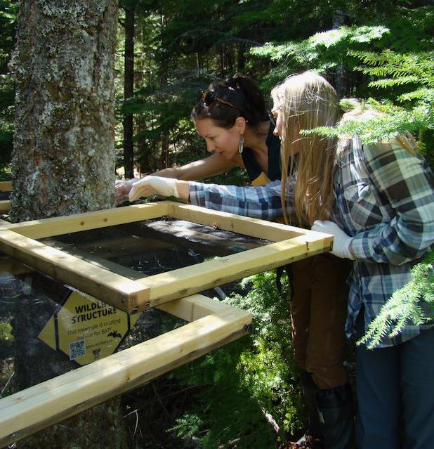 Amber Peters and a fellow biologist monitor screens for bat guano (poop).