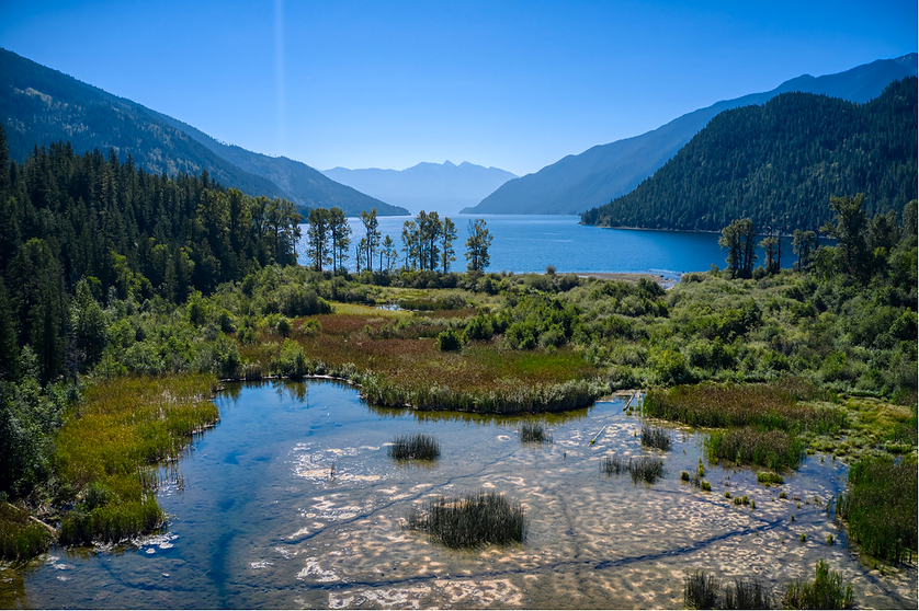 A panoramic view of Snk'mip Marsh