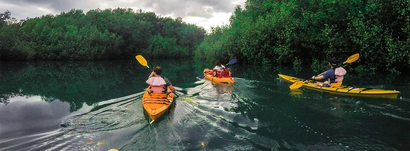 Three people kayaking on calm water surrounded by dense green mangrove trees under a cloudy sky.