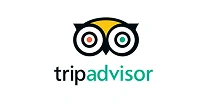 Tripadvisor logo with stylized owl eyes and green text.