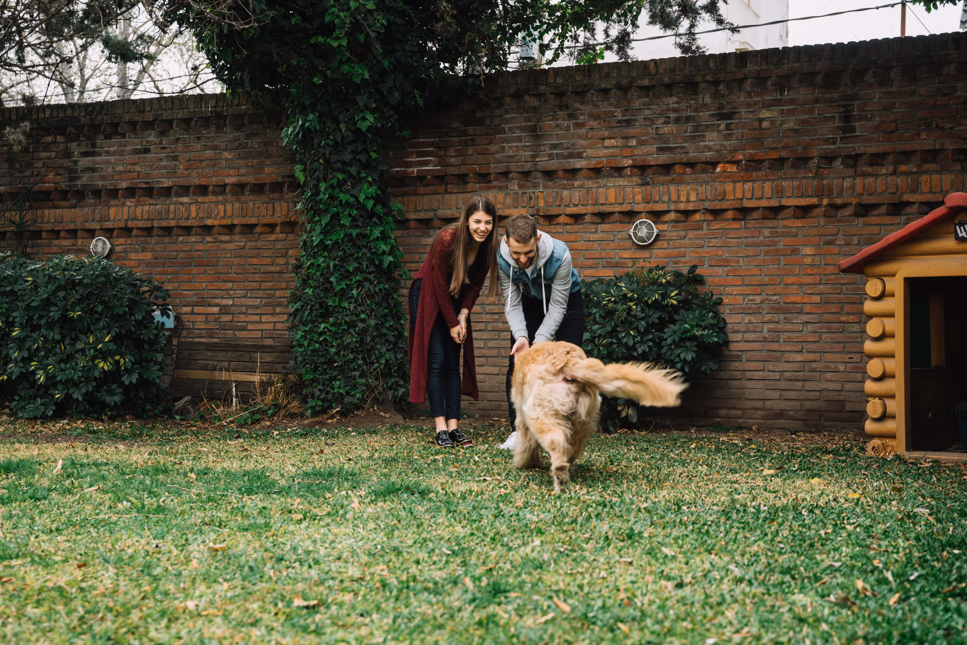 Young couple bending down happily towards a golden retriever dog in a green backyard.