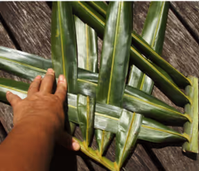 Hand weaving wide green leaves into a lattice pattern on a wooden surface.