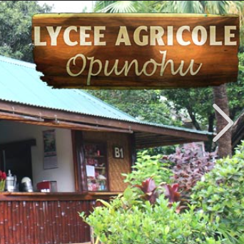 Wooden sign reading 'LYCEE AGRICOLE Opunohu' above a the shop of juices, jam and ice cream