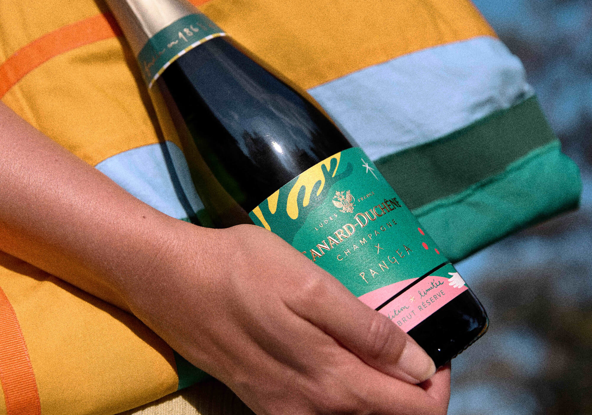 CANARD-DUCHÊNE PANGEA 2025