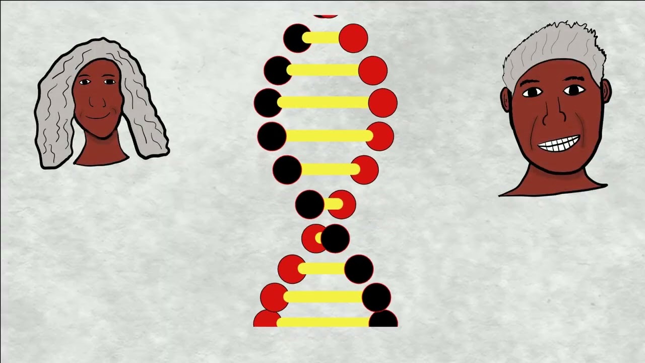 What Is a Rare Disease?