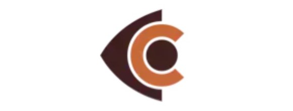 Lions Outback Vision logo