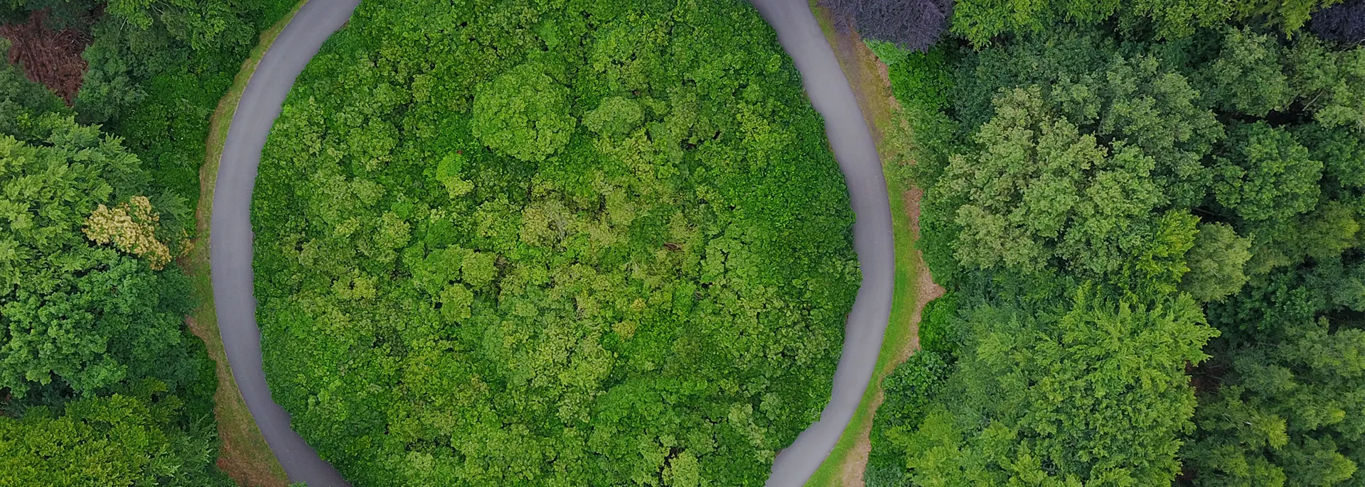 Aerial view of a green field