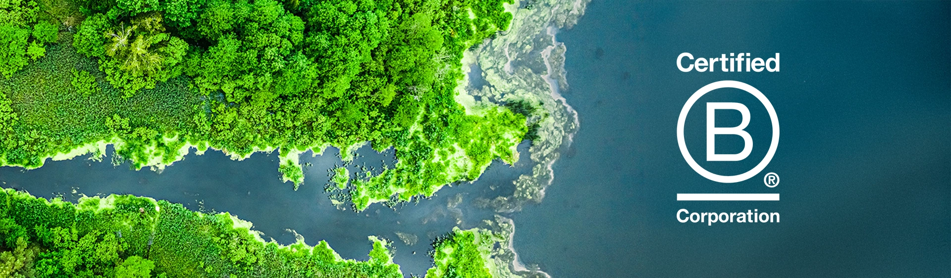 Image Office workers