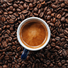 Specialty Coffee